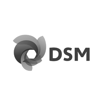 Looksee Logo Dsm