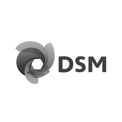 Looksee Logo DSM