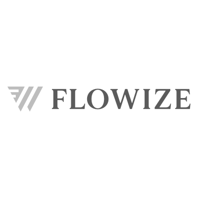 Looksee Logo Flowize