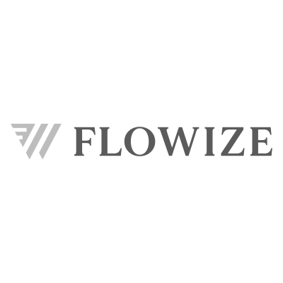 Looksee Logo Flowize